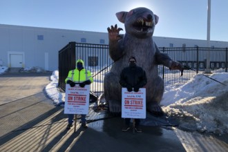 Carpenters on strike pose with inflatable rat
